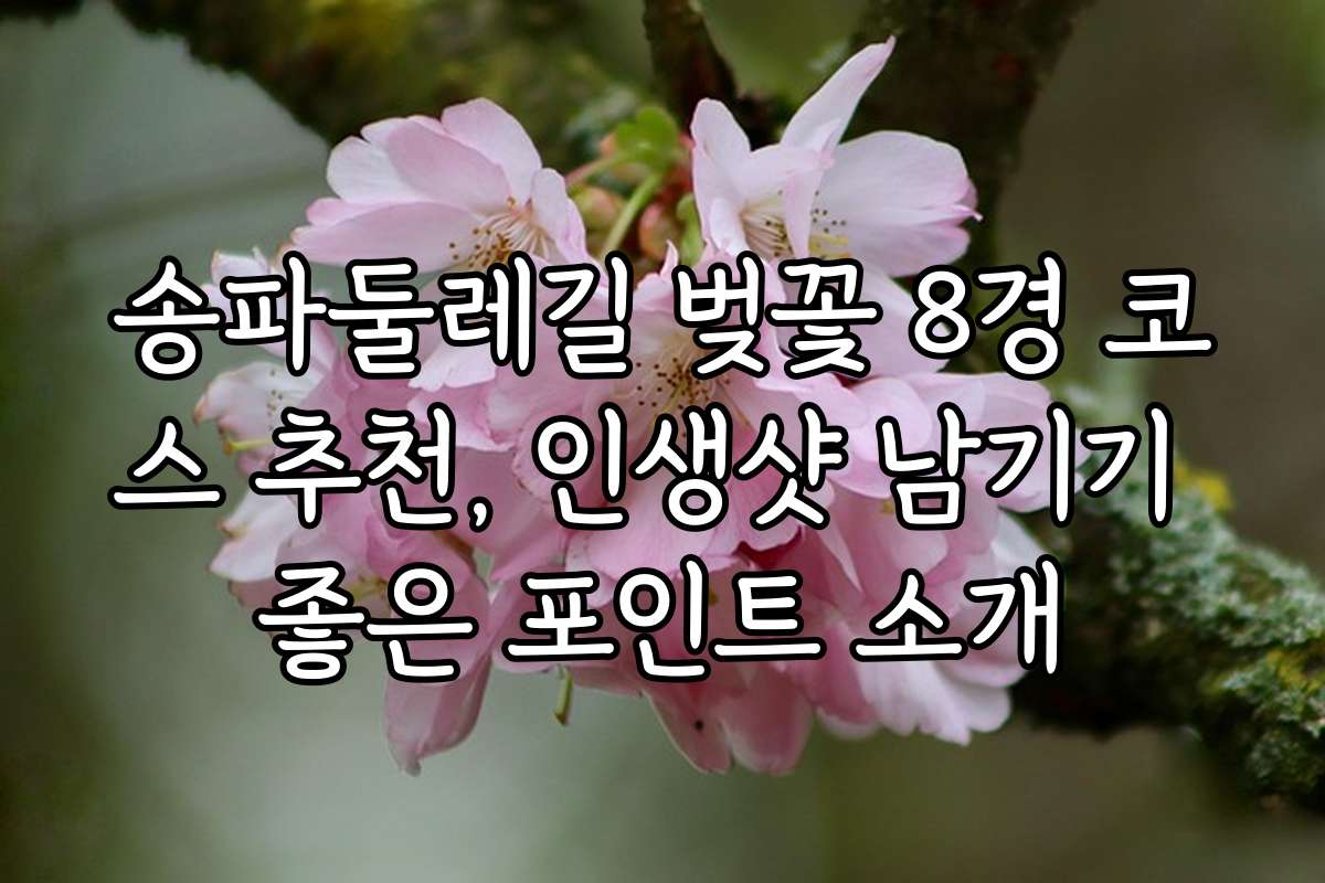 송파둘레길 벚꽃 8경 코스 추천, 인생샷 남기기 좋은 포인트 소개