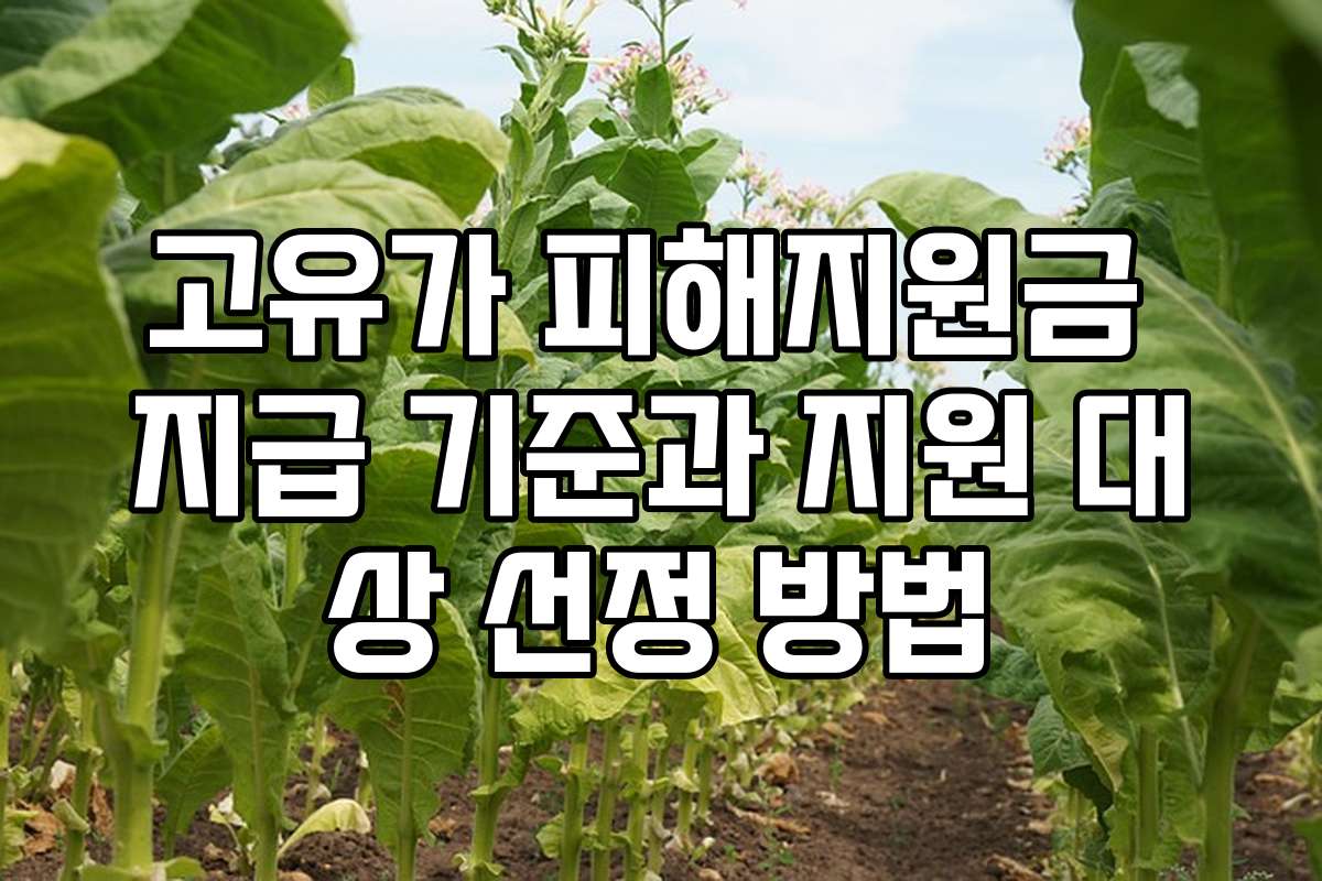 고유가 피해지원금 지급 기준과 지원 대상 선정 방법