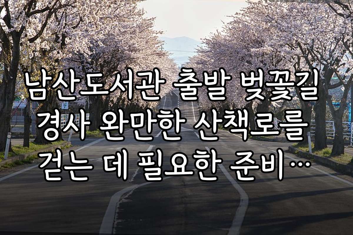 남산도서관 출발 벚꽃길 경사 완만한 산책로를 걷는 데 필요한 준비물과 체크리스트