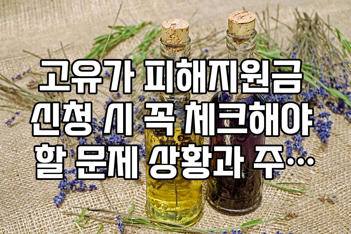 고유가 피해지원금 신청 시 꼭 체크해야 할 문제 상황과 주의사항을 안내합니다