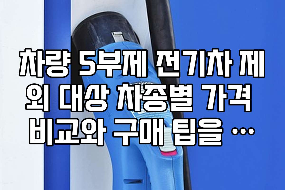 차량 5부제 전기차 제외 대상 차종별 가격 비교와 구매 팁을 알려드립니다