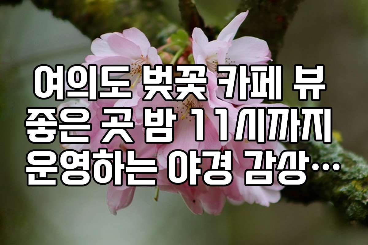 여의도 벚꽃 카페 뷰 좋은 곳 밤 11시까지 운영하는 야경 감상 명당