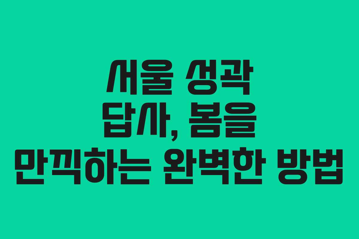 서울 성곽 답사, 봄을 만끽하는 완벽한 방법