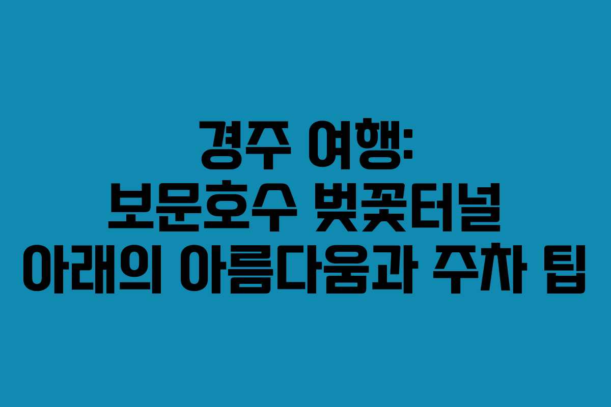 경주 여행: 보문호수 벚꽃터널 아래의 아름다움과 주차 팁