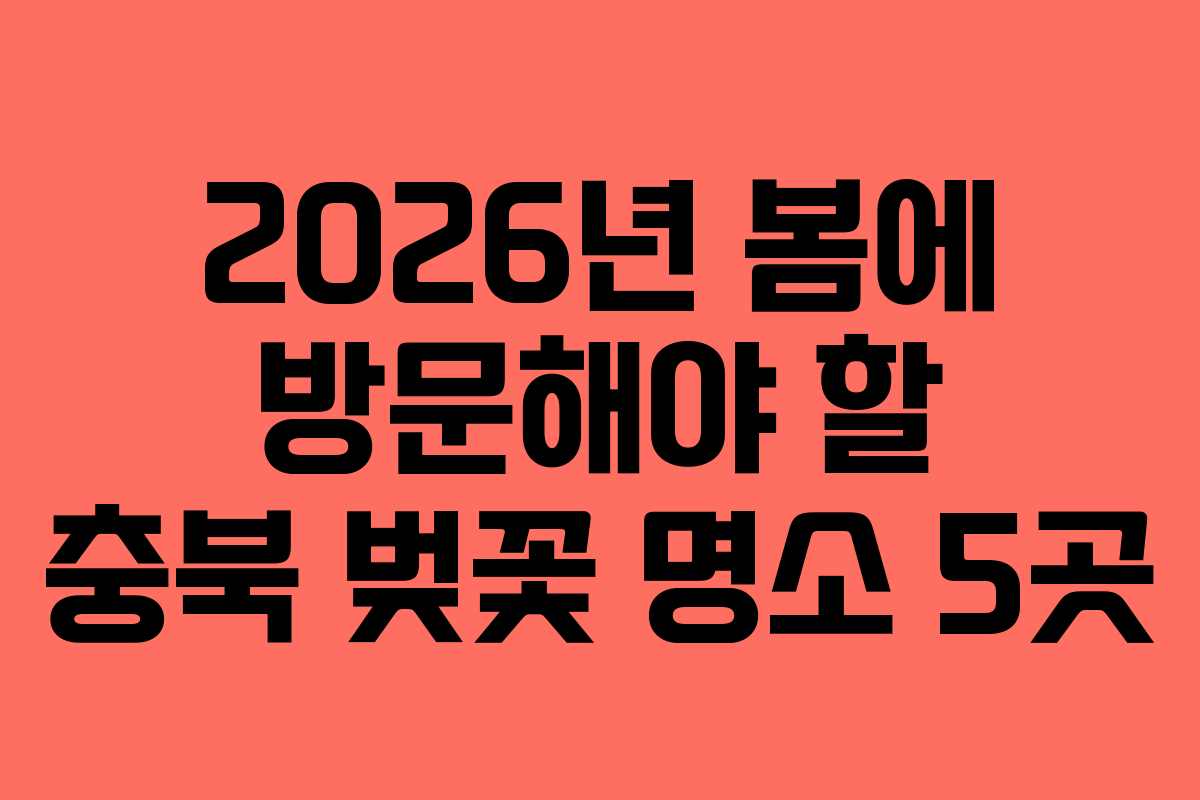 2026년 봄에 방문해야 할 충북 벚꽃 명소 5곳