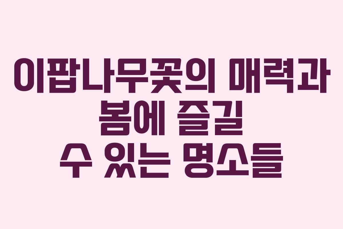 이팝나무꽃의 매력과 봄에 즐길 수 있는 명소들