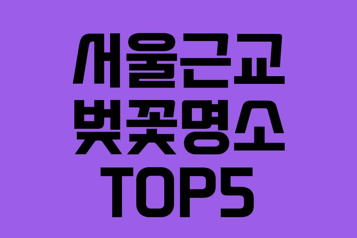 서울근교 벚꽃명소 TOP5