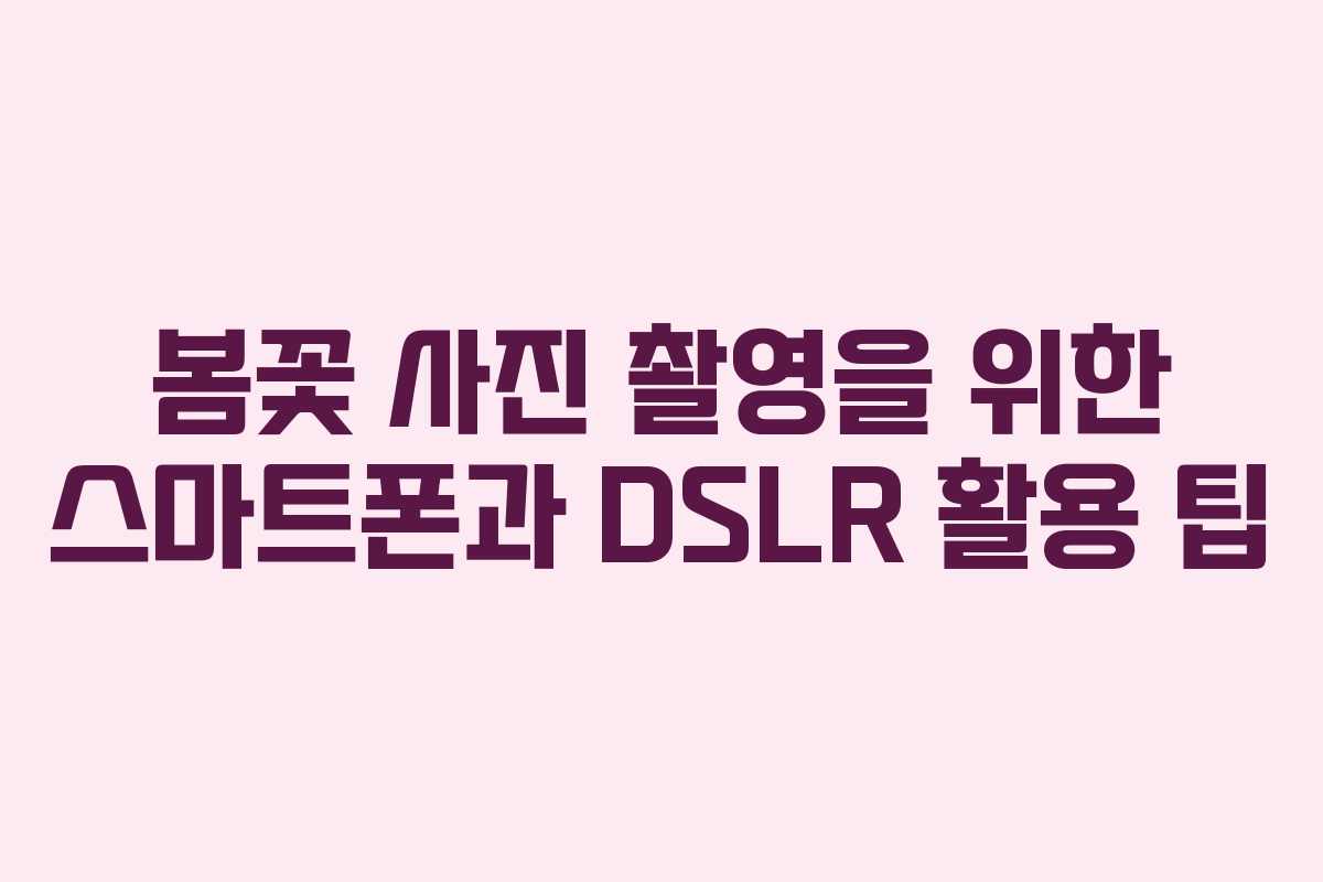 봄꽃 사진 촬영을 위한 스마트폰과 DSLR 활용 팁