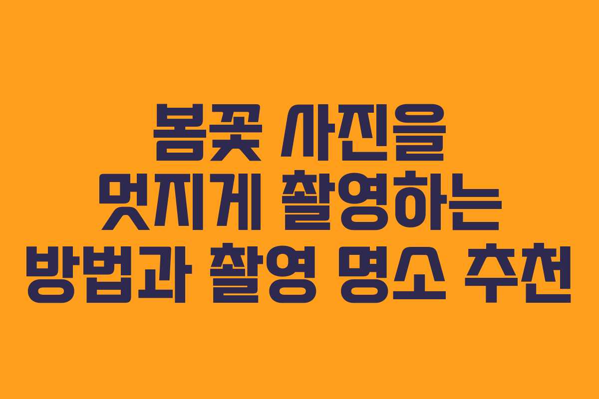 봄꽃 사진을 멋지게 촬영하는 방법과 촬영 명소 추천
