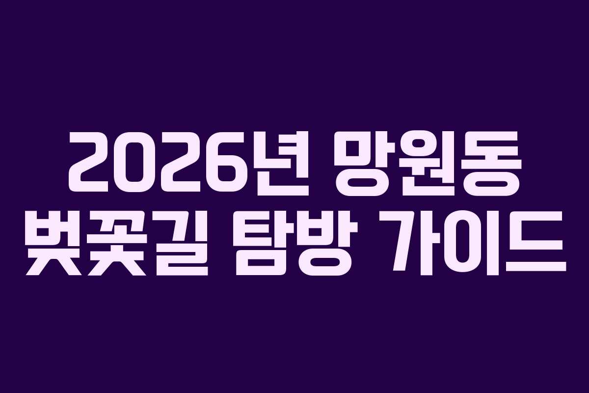 2026년 망원동 벚꽃길 탐방 가이드