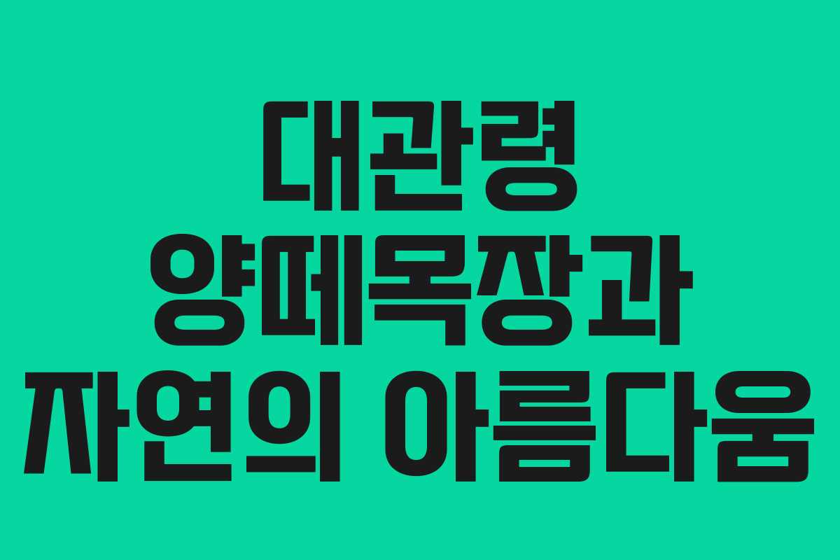 대관령 양떼목장과 자연의 아름다움