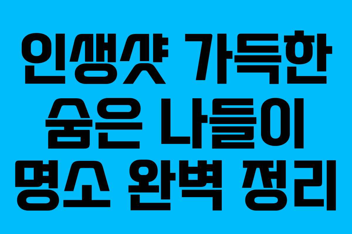 인생샷 가득한 숨은 나들이 명소 완벽 정리