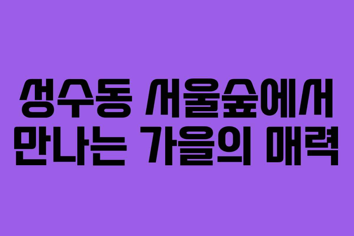 성수동 서울숲에서 만나는 가을의 매력