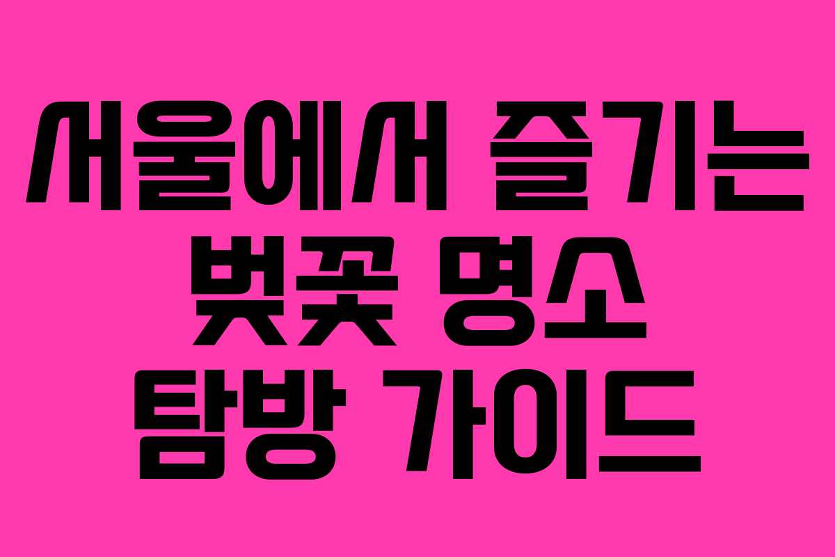 서울에서 즐기는 벚꽃 명소 탐방 가이드