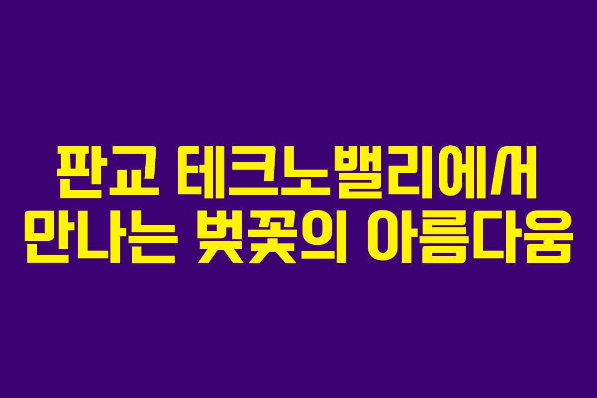 판교 테크노밸리에서 만나는 벚꽃의 아름다움 판교 테크노밸리에서 만나는 벚꽃의 아름다움