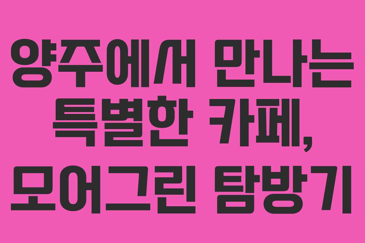 양주에서 만나는 특별한 카페, 모어그린 탐방기