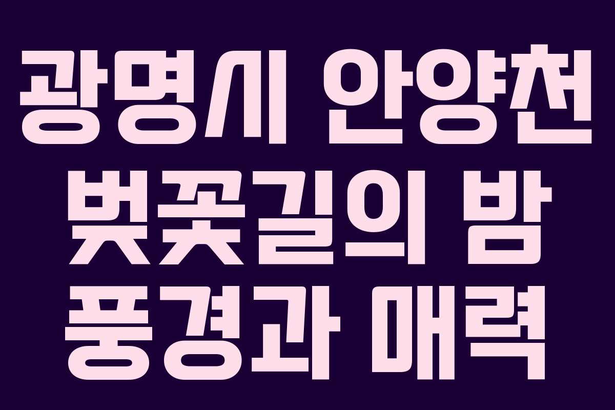 광명시 안양천 벚꽃길의 밤 풍경과 매력