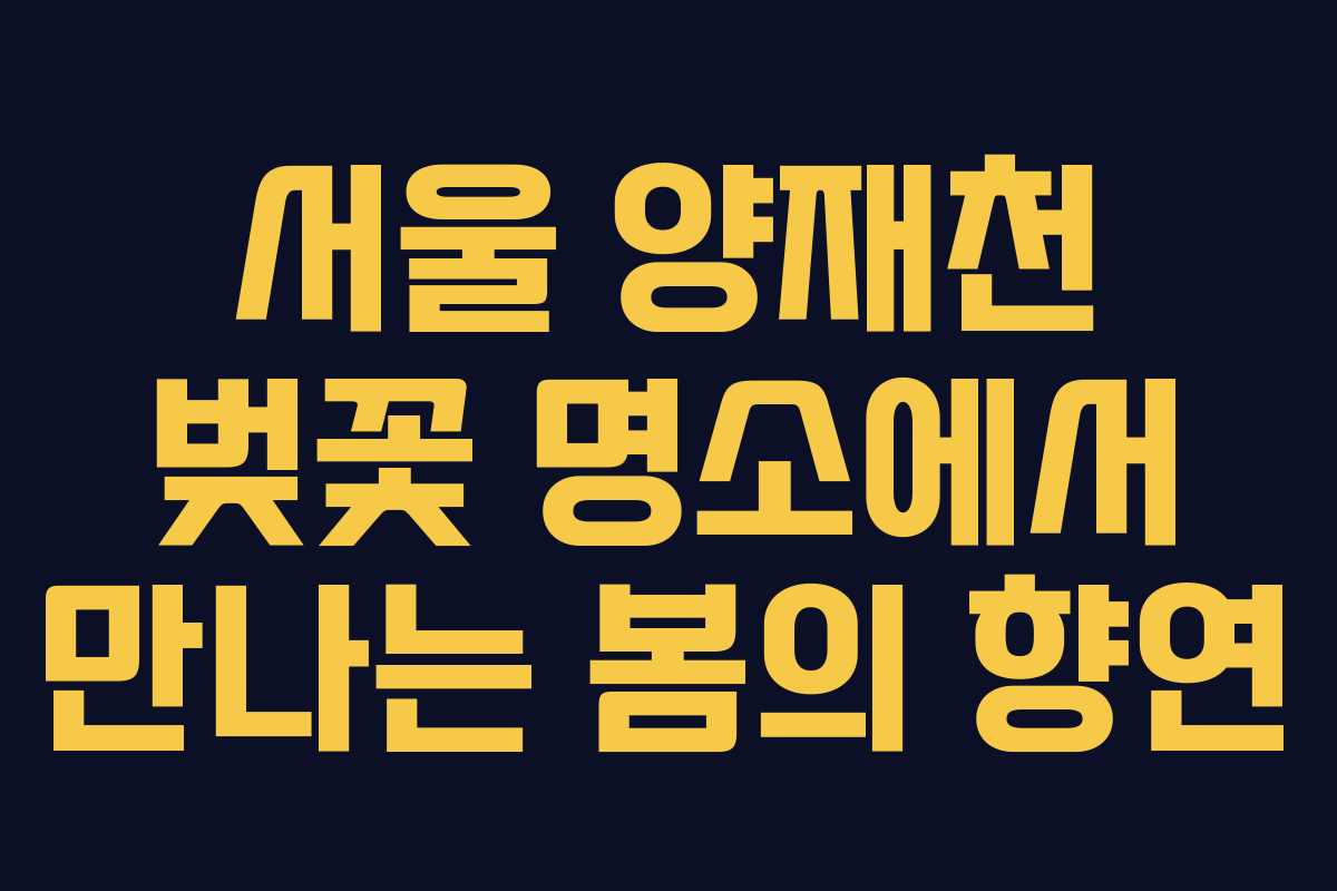 서울 양재천 벚꽃 명소에서 만나는 봄의 향연