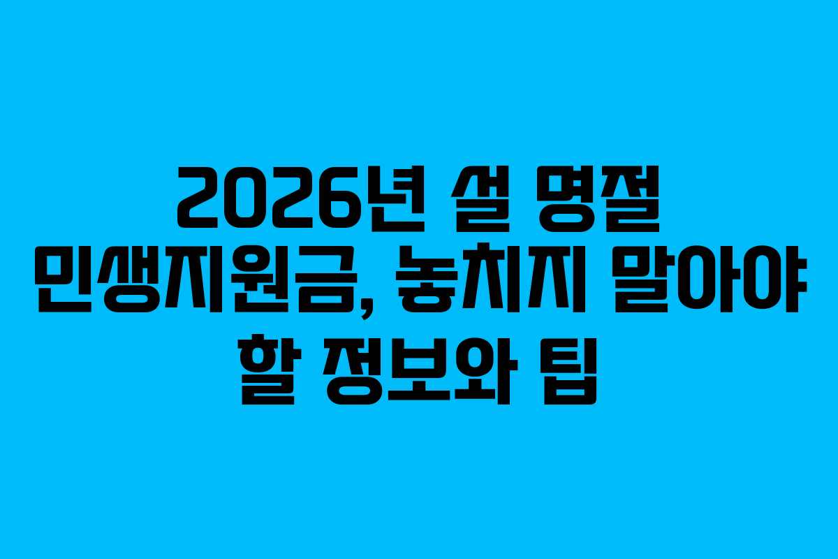 2026년 설 명절 민생지원금, 놓치지 말아야 할 정보와 팁