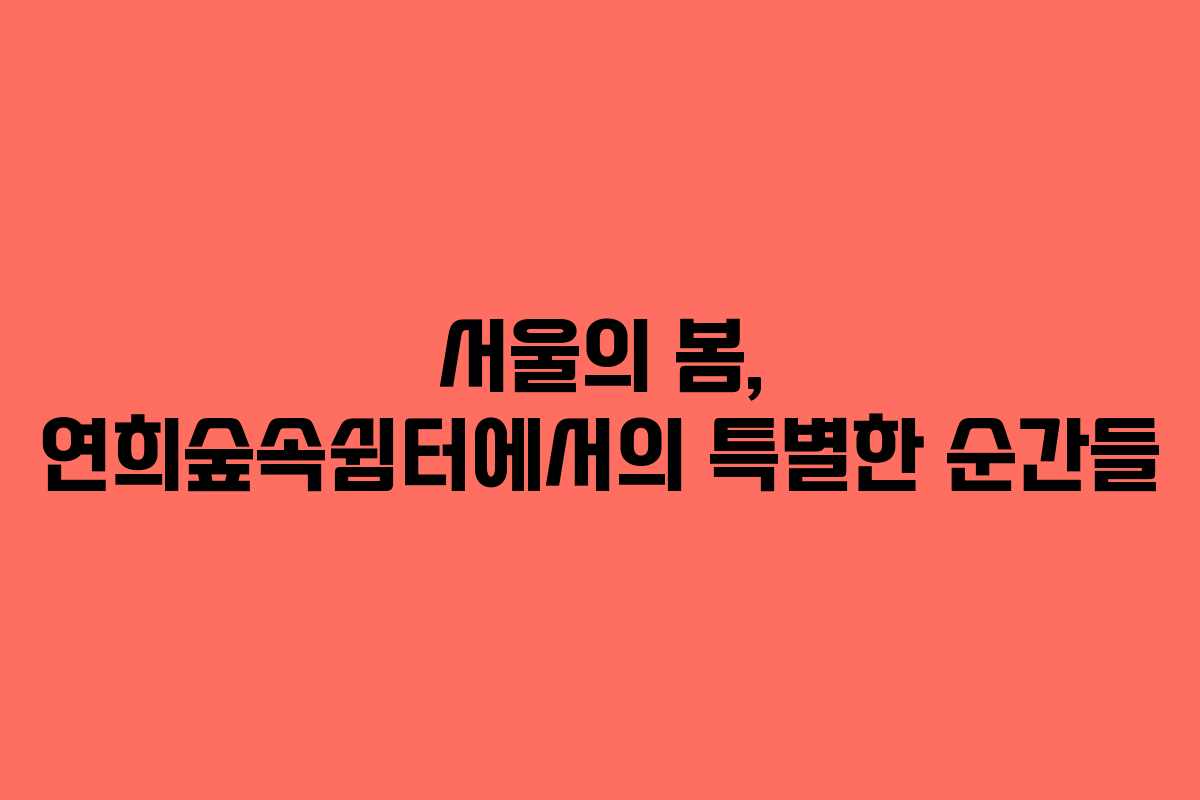서울의 봄, 연희숲속쉼터에서의 특별한 순간들 서울의 봄, 연희숲속쉼터에서의 특별한 순간들