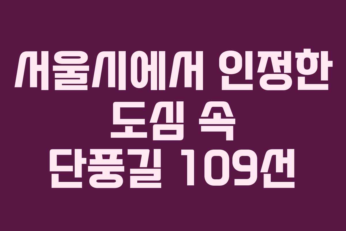 서울시에서 인정한 도심 속 단풍길 109선