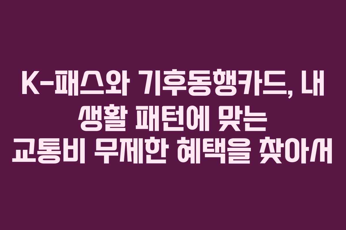 K-패스와 기후동행카드, 내 생활 패턴에 맞는 교통비 무제한 혜택을 찾아서