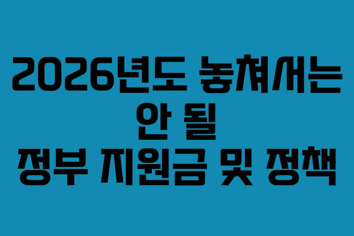 2026년도 놓쳐서는 안 될 정부 지원금 및 정책 2026년도 놓쳐서는 안 될 정부 지원금 및 정책