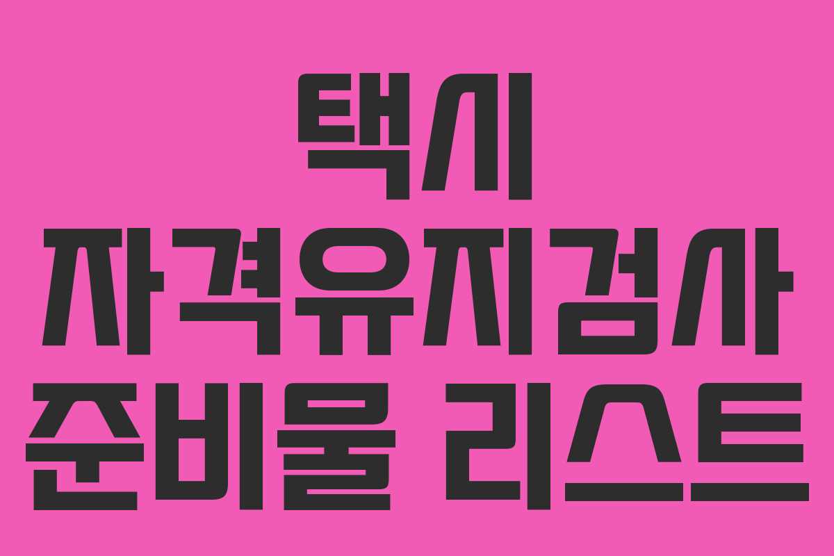 택시 자격유지검사 준비물 리스트