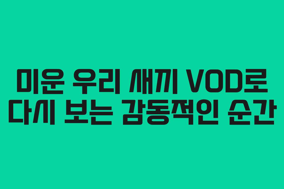 미운 우리 새끼 VOD로 다시 보는 감동적인 순간