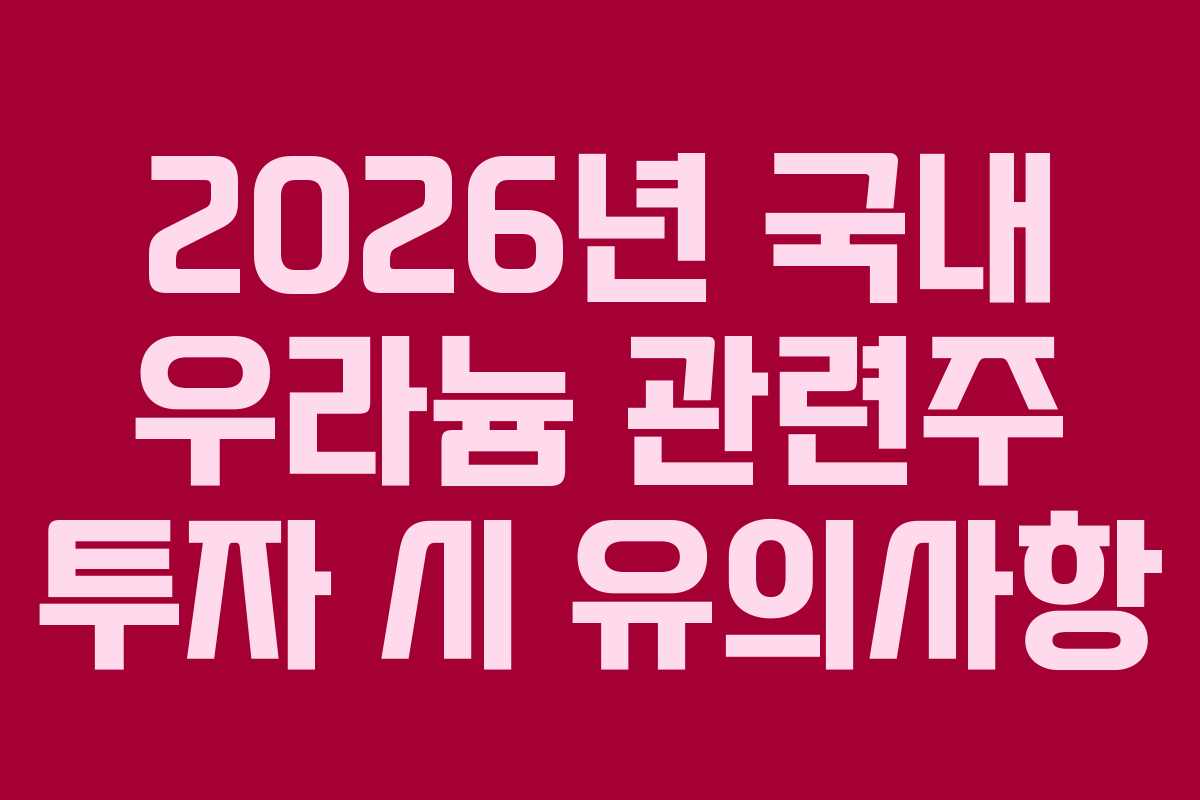2026년 국내 우라늄 관련주 투자 시 유의사항
