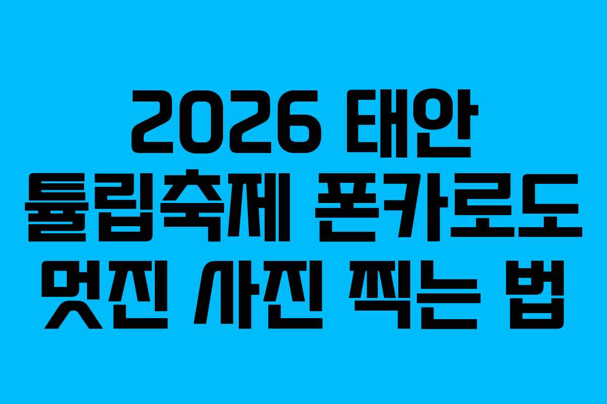 2026 태안 튤립축제 폰카로도 멋진 사진 찍는 법