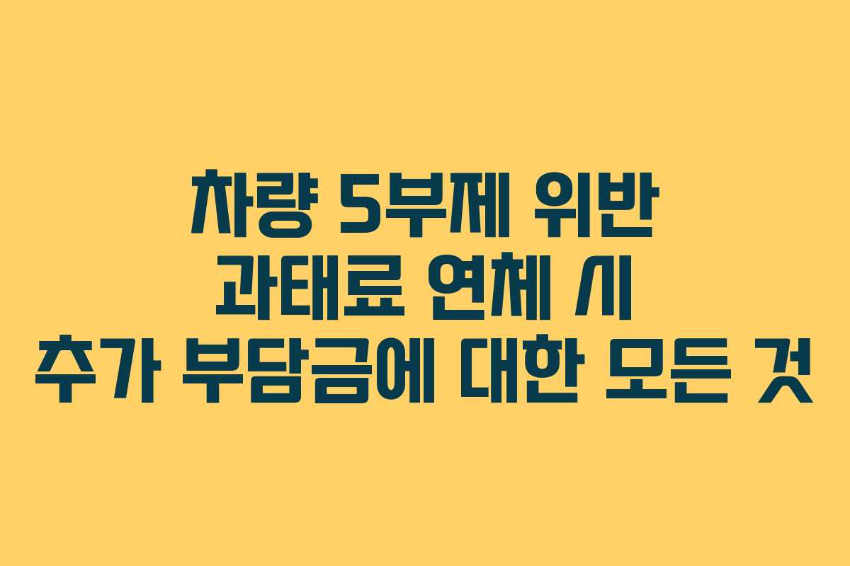 차량 5부제 위반 과태료 연체 시 추가 부담금에 대한 모든 것