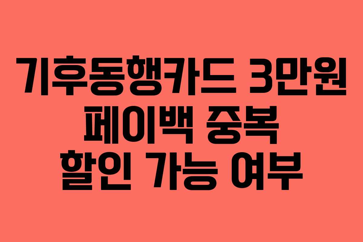 기후동행카드 3만원 페이백 중복 할인 가능 여부
