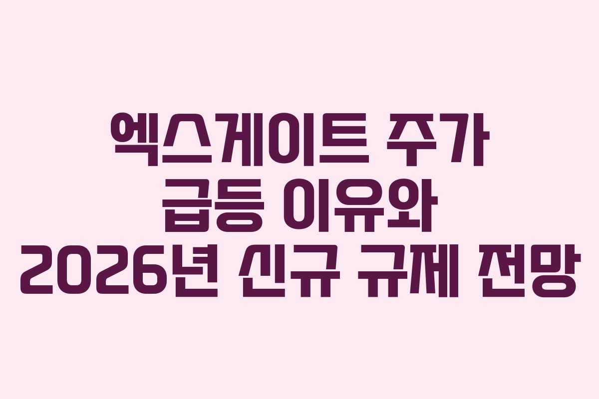 엑스게이트 주가 급등 이유와 2026년 신규 규제 전망