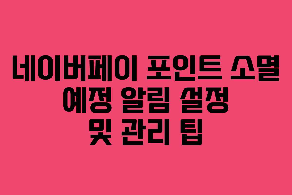 네이버페이 포인트 소멸 예정 알림 설정 및 관리 팁