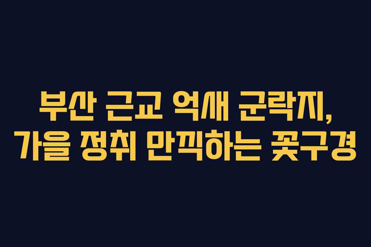 부산 근교 억새 군락지, 가을 정취 만끽하는 꽃구경