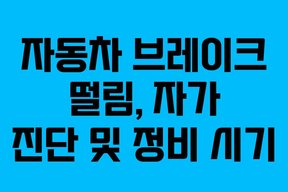 자동차 브레이크 떨림, 자가 진단 및 정비 시기