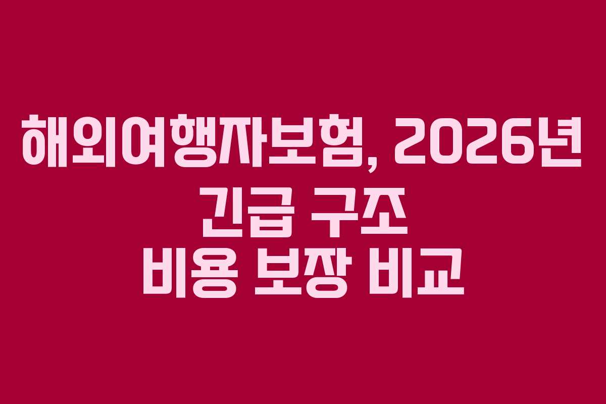 해외여행자보험, 2026년 긴급 구조 비용 보장 비교