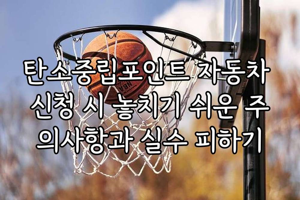 탄소중립포인트 자동차 신청 시 놓치기 쉬운 주의사항과 실수 피하기