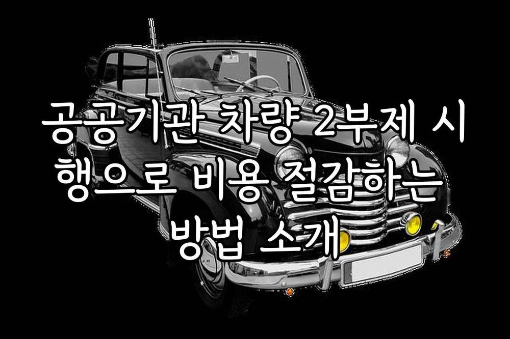 공공기관 차량 2부제 시행으로 비용 절감하는 방법 소개