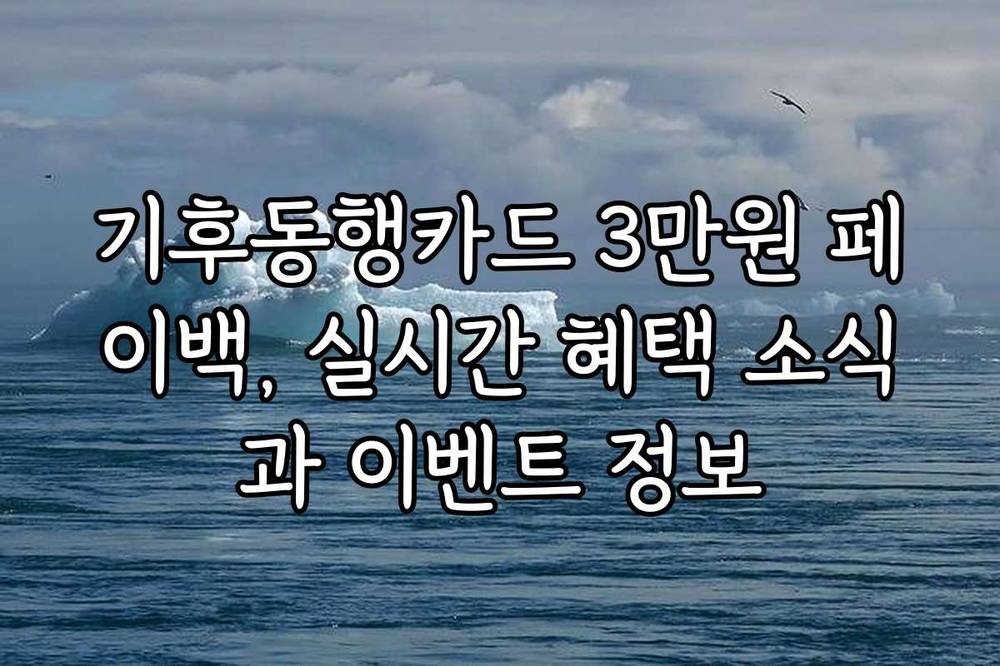 기후동행카드 3만원 페이백, 실시간 혜택 소식과 이벤트 정보