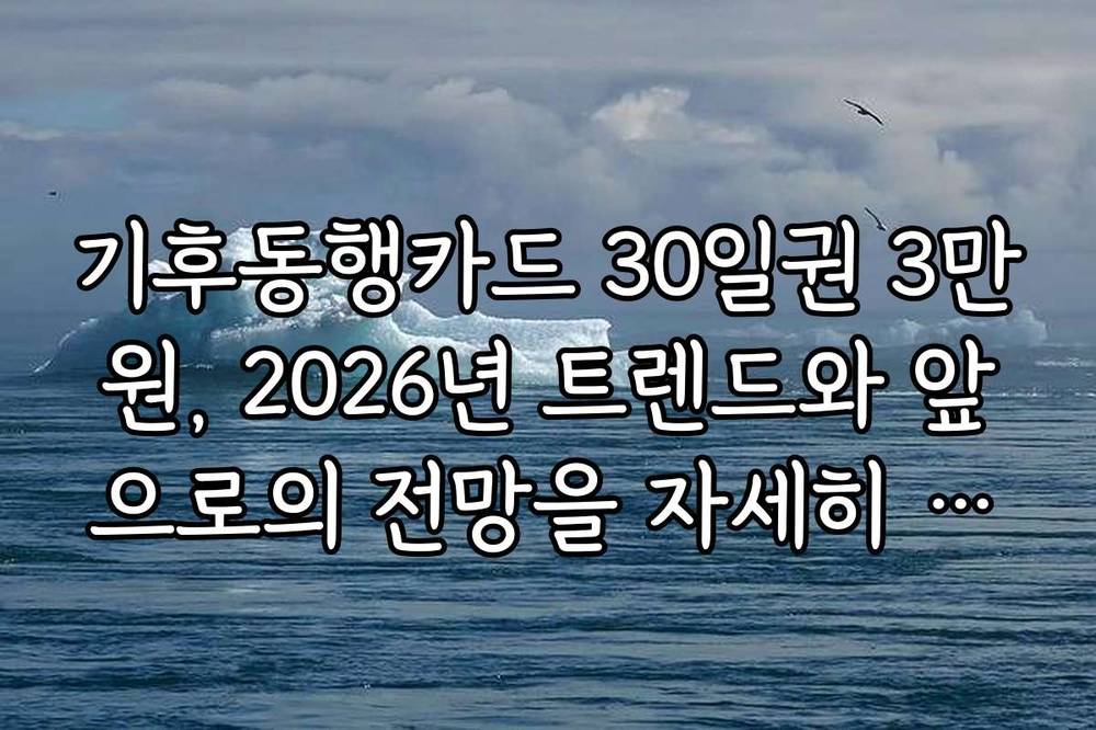 기후동행카드 30일권 3만원, 2026년 트렌드와 앞으로의 전망을 자세히 분석