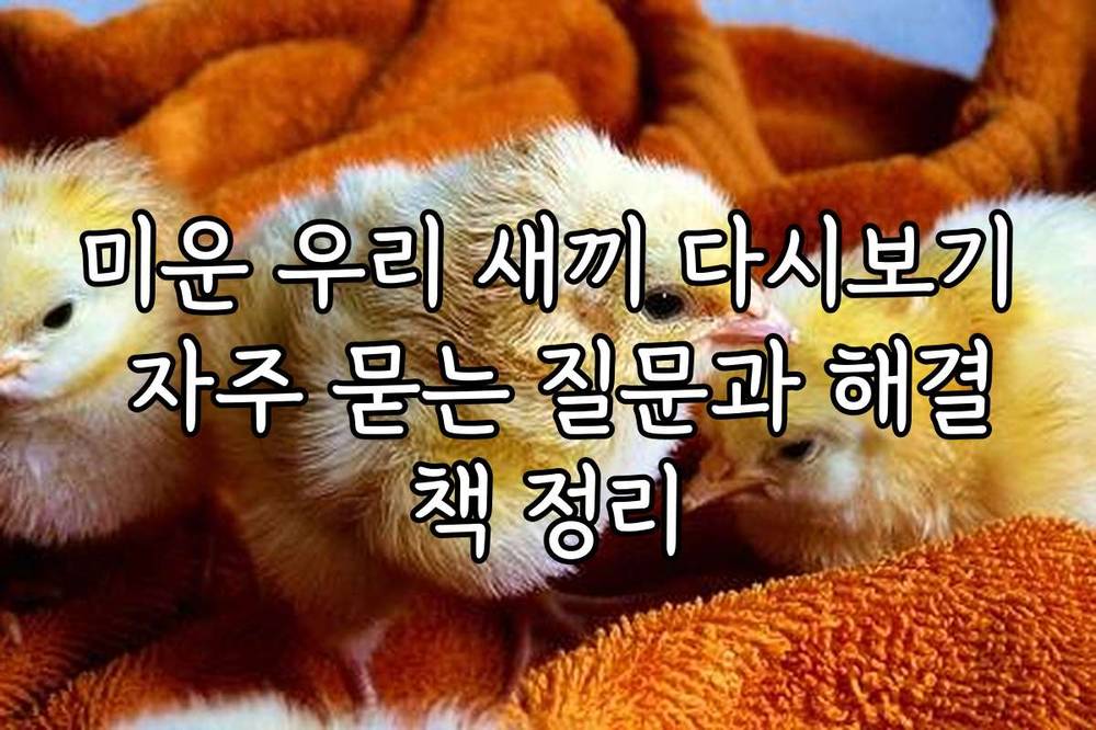 미운 우리 새끼 다시보기 자주 묻는 질문과 해결책 정리