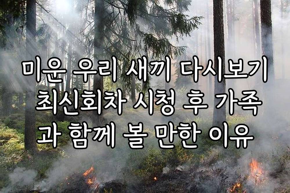미운 우리 새끼 다시보기 최신회차 시청 후 가족과 함께 볼 만한 이유