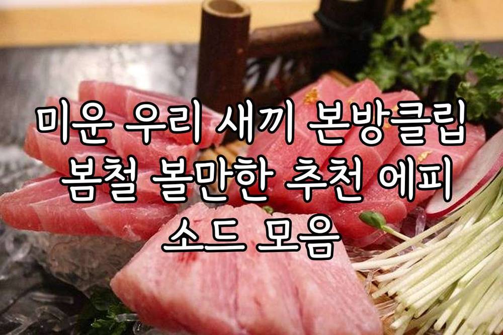 미운 우리 새끼 본방클립 봄철 볼만한 추천 에피소드 모음