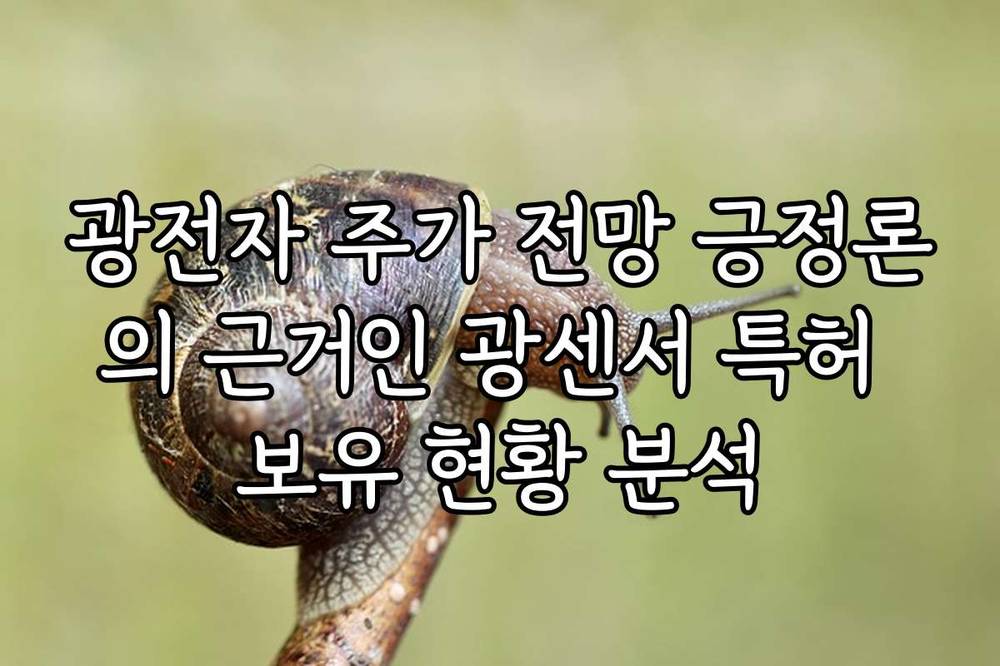 광전자 주가 전망 긍정론의 근거인 광센서 특허 보유 현황 분석