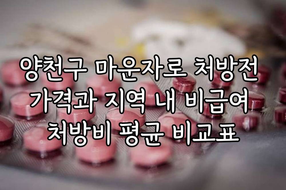 양천구 마운자로 처방전 가격과 지역 내 비급여 처방비 평균 비교표