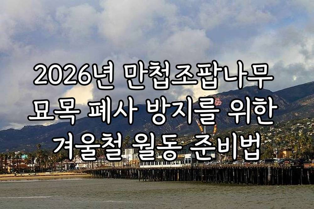2026년 만첩조팝나무 묘목 폐사 방지를 위한 겨울철 월동 준비법