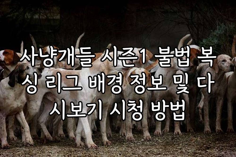 사냥개들 시즌1 불법 복싱 리그 배경 정보 및 다시보기 시청 방법