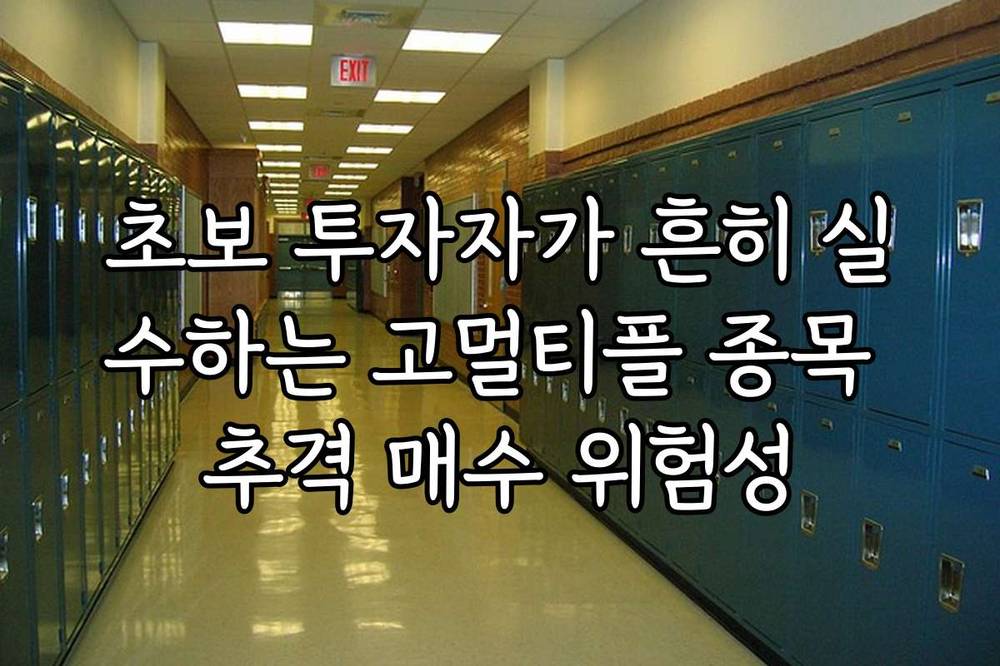 초보 투자자가 흔히 실수하는 고멀티플 종목 추격 매수 위험성